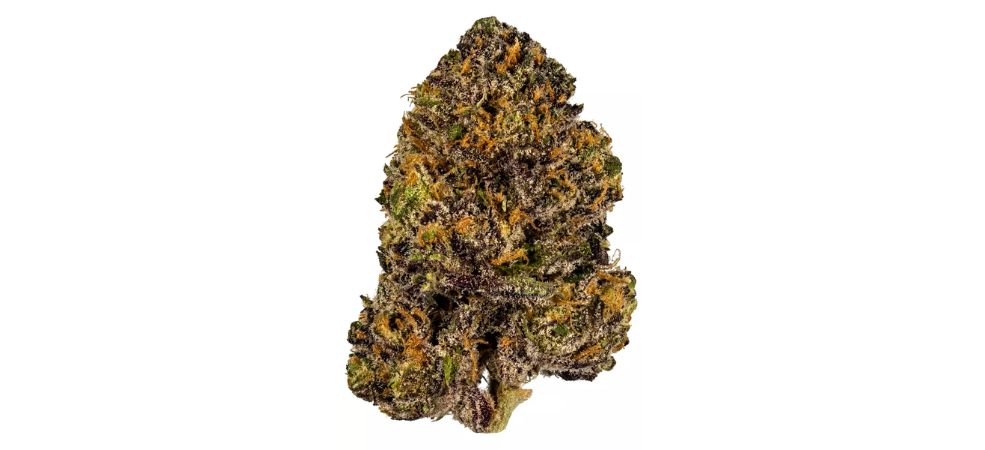 Granddaddy Purple (GDP) is one of the best Indica strains, cherished for its stunning purple buds and powerful relaxing effects.