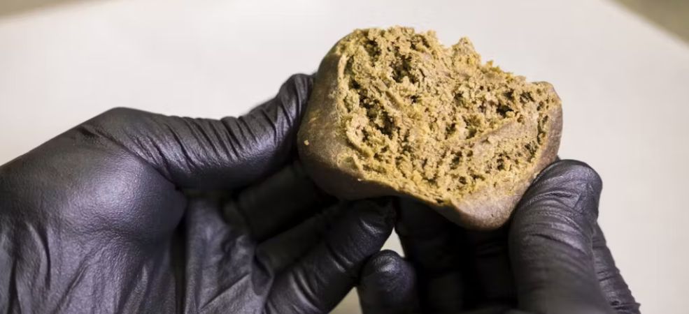 Hash, or hashish as it is commonly known, is a cannabis concentrate with a deep and rich history. 