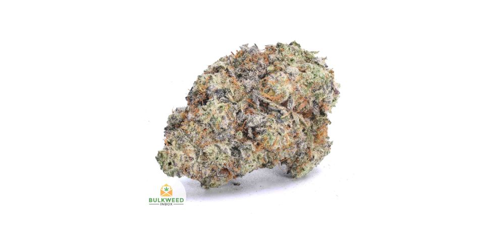 I love High Octane for its extreme relaxation effects, which are also why it is one of the best Indica strains today.