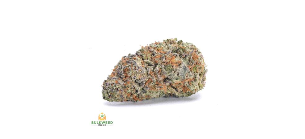 Hindu Kush is a pure Indica strain originating from the mountainous regions between Pakistan and Afghanistan.