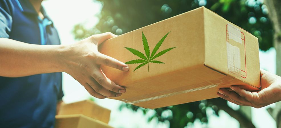 Online weed is literally at your fingertips. And it doesn’t take much to have it delivered to your doorstep.