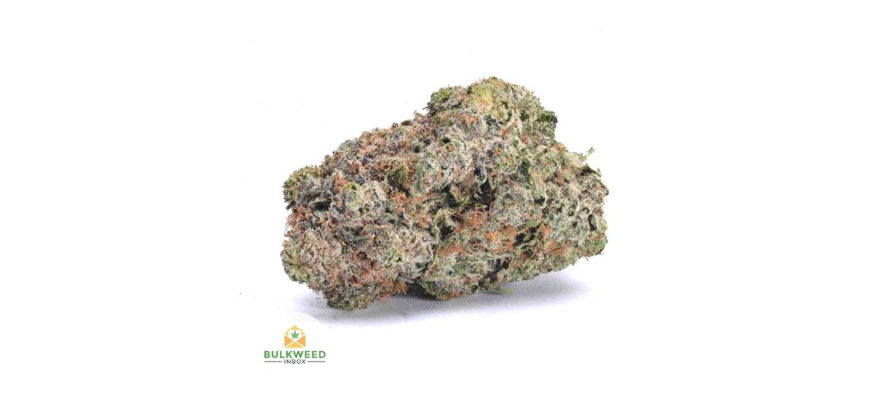 Northern Lights is among the most common Indica strain names. It is known for its fast-acting effects and deeply calming properties.