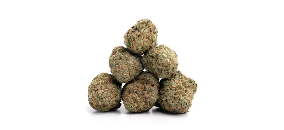 With a high THC average and indica dominance, you can expect the Nuken strain effects to lean towards indica-like relaxation. And if that’s what you expect, it doesn’t disappoint.