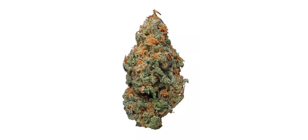 The Nuken weed strain is an indica-leaning hybrid created in Canada and is now taking over the North American cannabis scene.