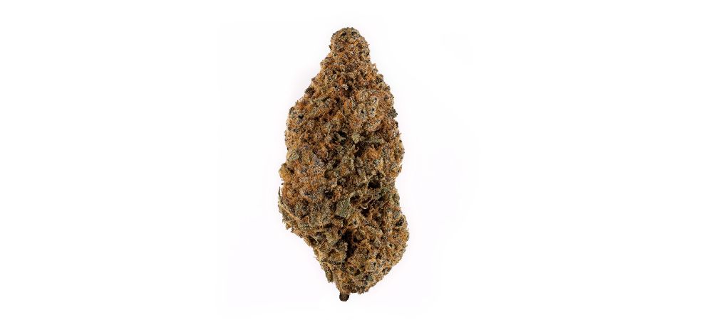 As mentioned above, the Nuken weed has pretty attractive buds. The nugs are large, dense, and compactly built, which is what you would expect of an indica-dominant strain.