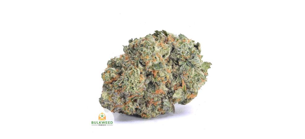 OG Kush is one of the most famous Indica-dominant strains, loved for its effects and unique flavour profile.