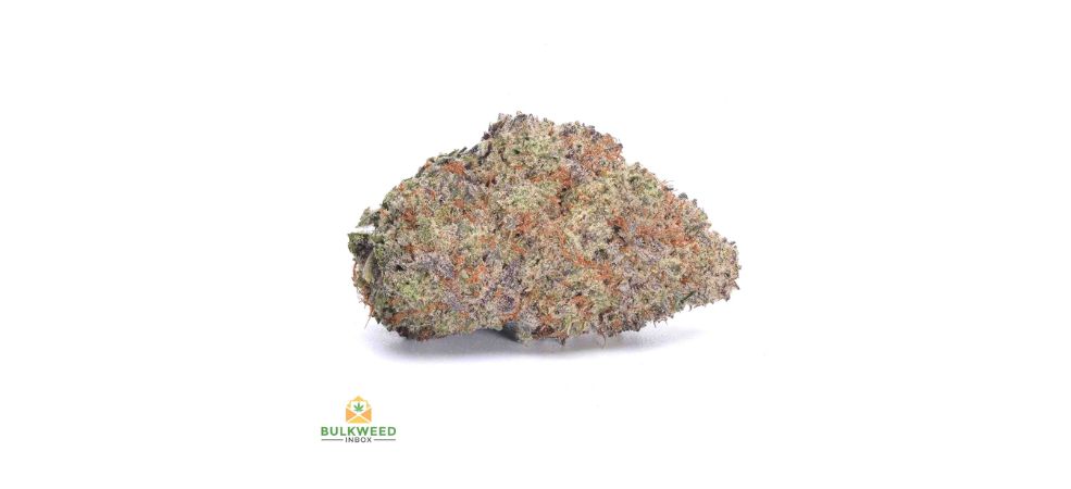 Purple Kush is a pure Indica strain that has gained immense popularity due to its powerful sedative effects and striking appearance. 