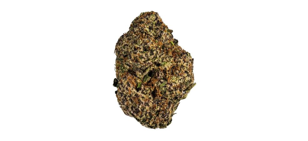 Runtz strain THC levels range between 19% and 29%. The high THC content makes it a potent choice for experienced users. 