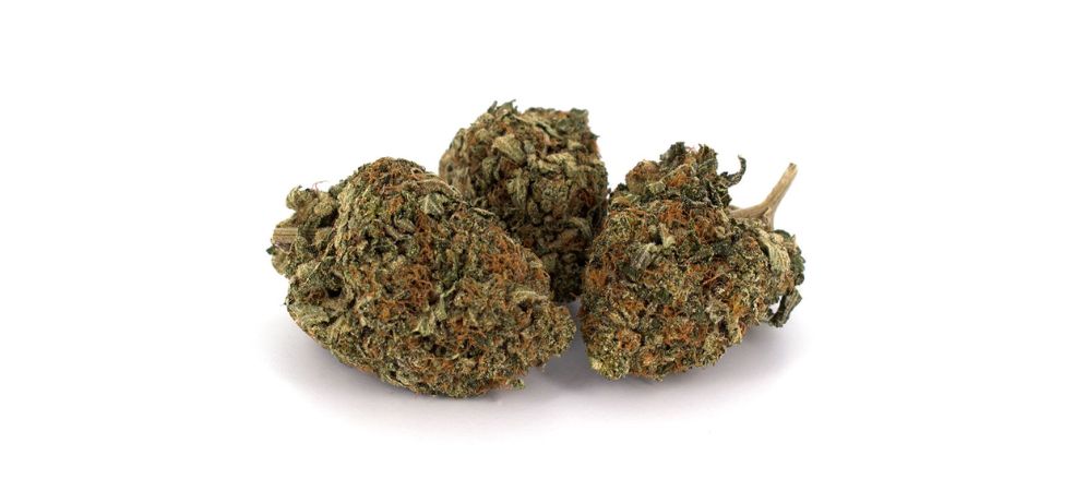 Also known as Tom Ford Pink Kush or TFPK, the Tom Ford weed strain is a rare, mysterious bud.