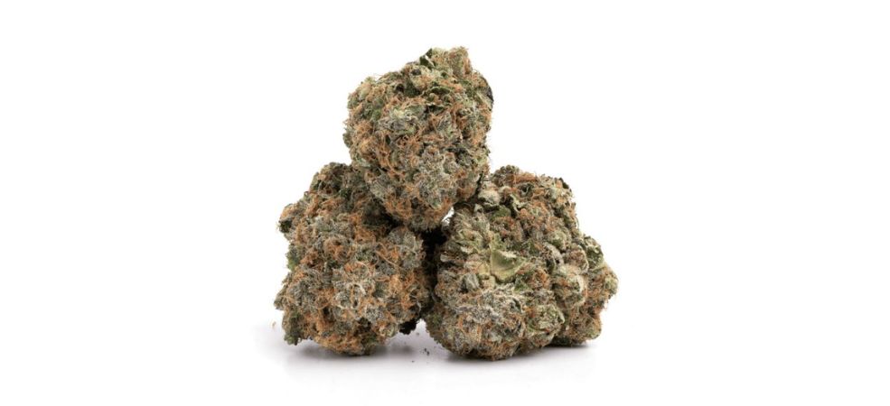 Whether you are looking for an uplifting high or sedative effect, there’s a perfect strain for you when you buy bud online in Canada.