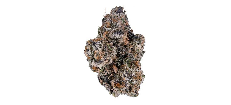 This is a hybrid cannabis strain that was created using Berner's special recipe. 