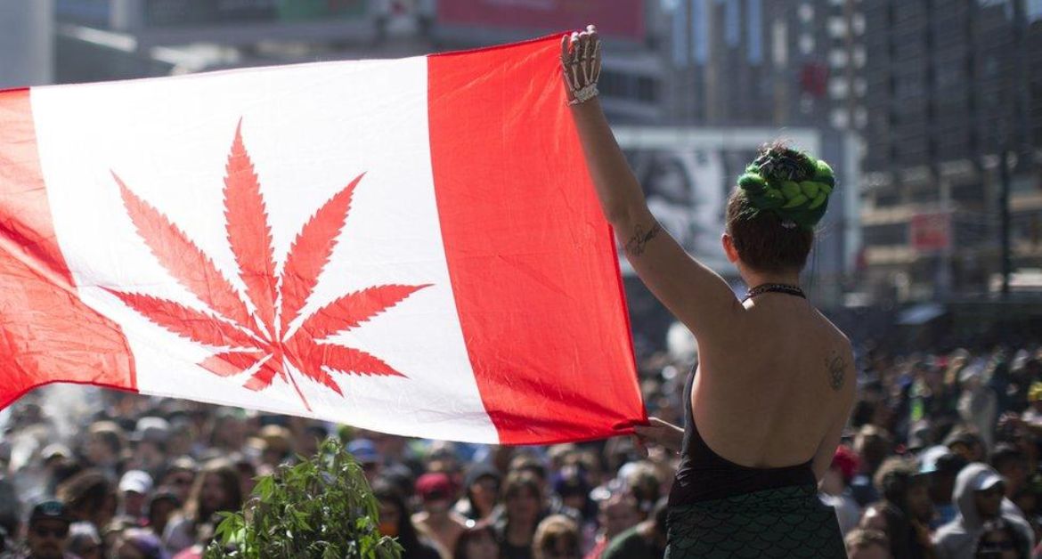 Want to buy Canadian weed online for the first time? Here’s all you need to know, including its benefits and a guide to ordering weed online