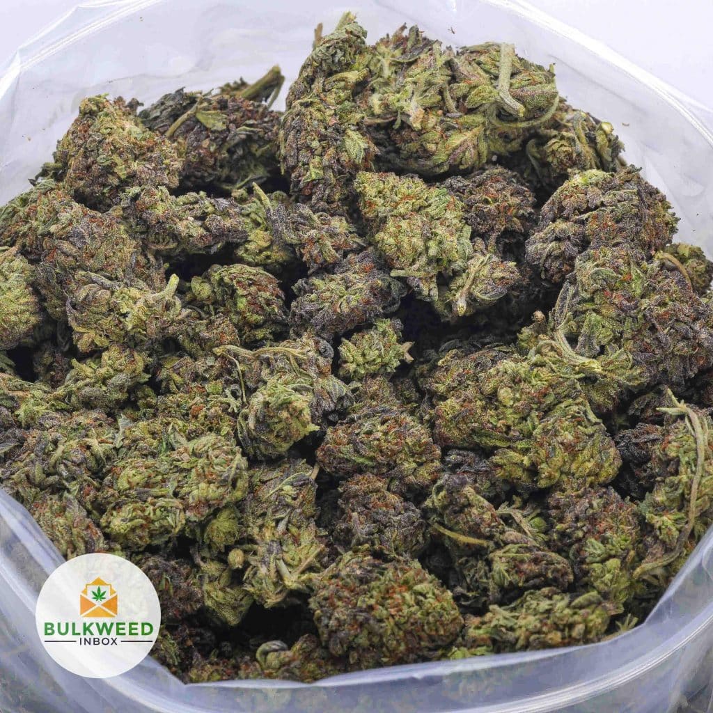 signal-2026-03-04-212949_005-1