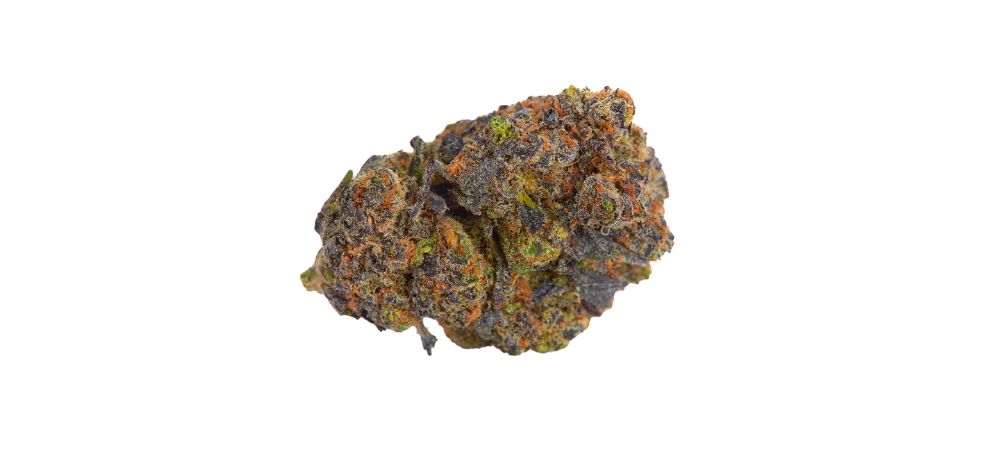 Gelato is a popular cannabis strain created through a cross between two of the most popular buds at our cannabis store online.