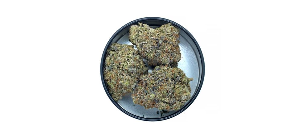 You can order the Tom Ford weed from our online weed dispensary in Canada and have it delivered straight to your home.