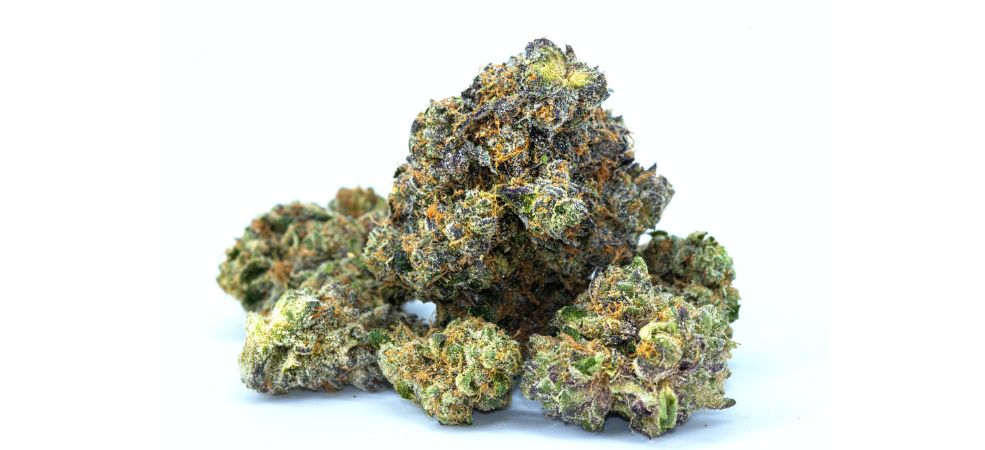 The White Runtz strain is famous for its frosty appearance. It is covered in a thick layer of trichomes, which give it a white, sugary appearance.