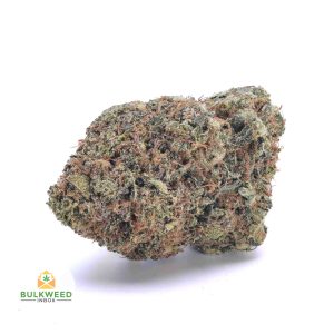 BUDGET-BUD-RAINBOWMIX-AAAA1-2