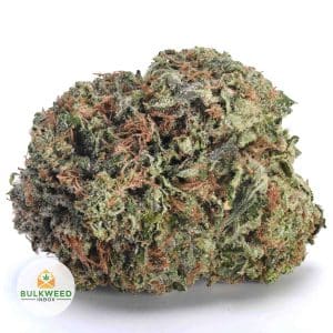 GAS-MASK-BUBBA-TYSON-FARMS-AAAA1