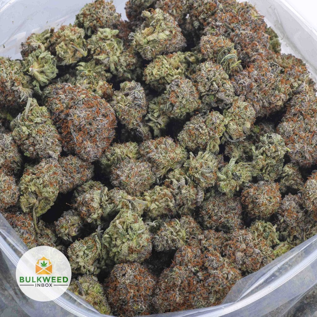 PURPLE-KUSH-AAA