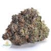 PURPLE-KUSH-AAA1