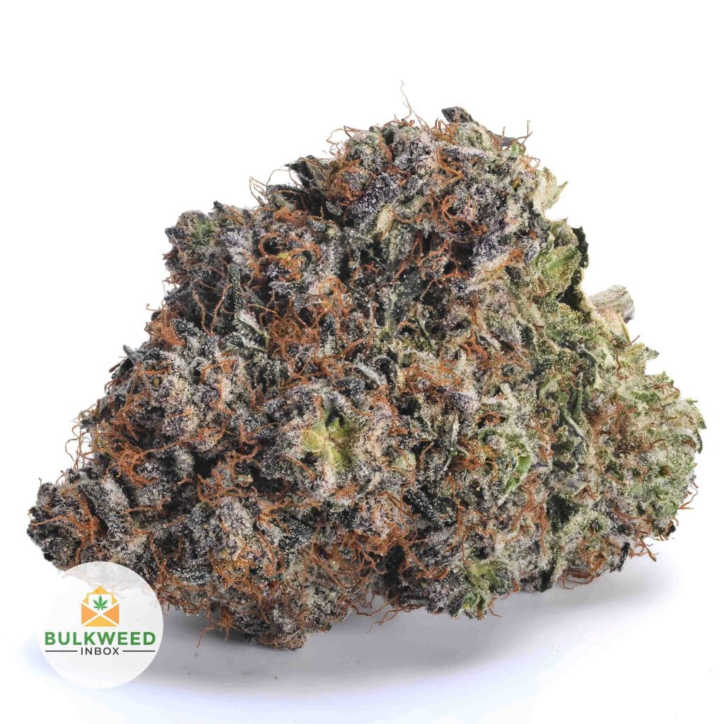 PURPLE-KUSH-AAA1