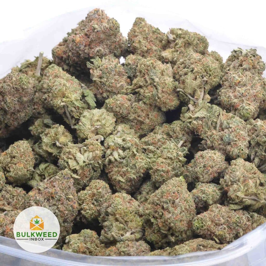 9-POUND-HAMMER-AAA-3