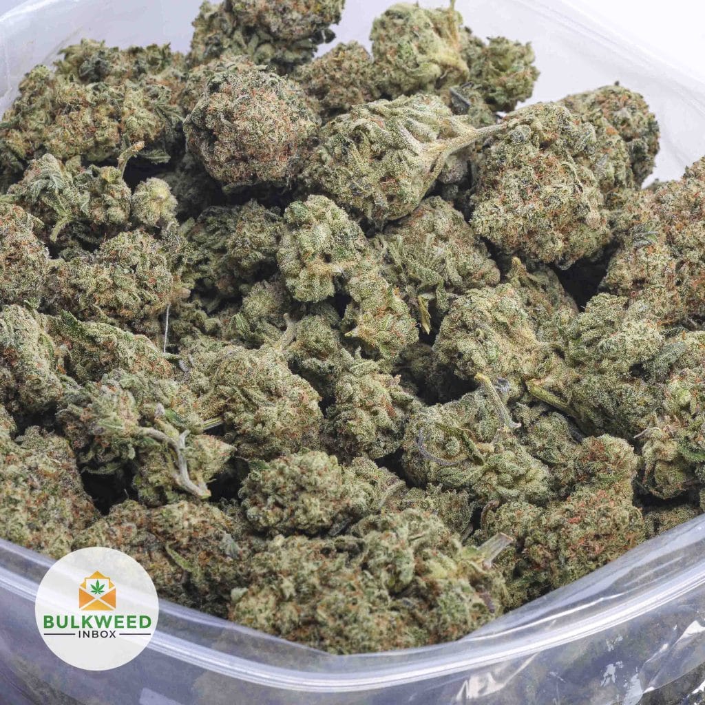 GARLIC-BREATH-BBAAA-2