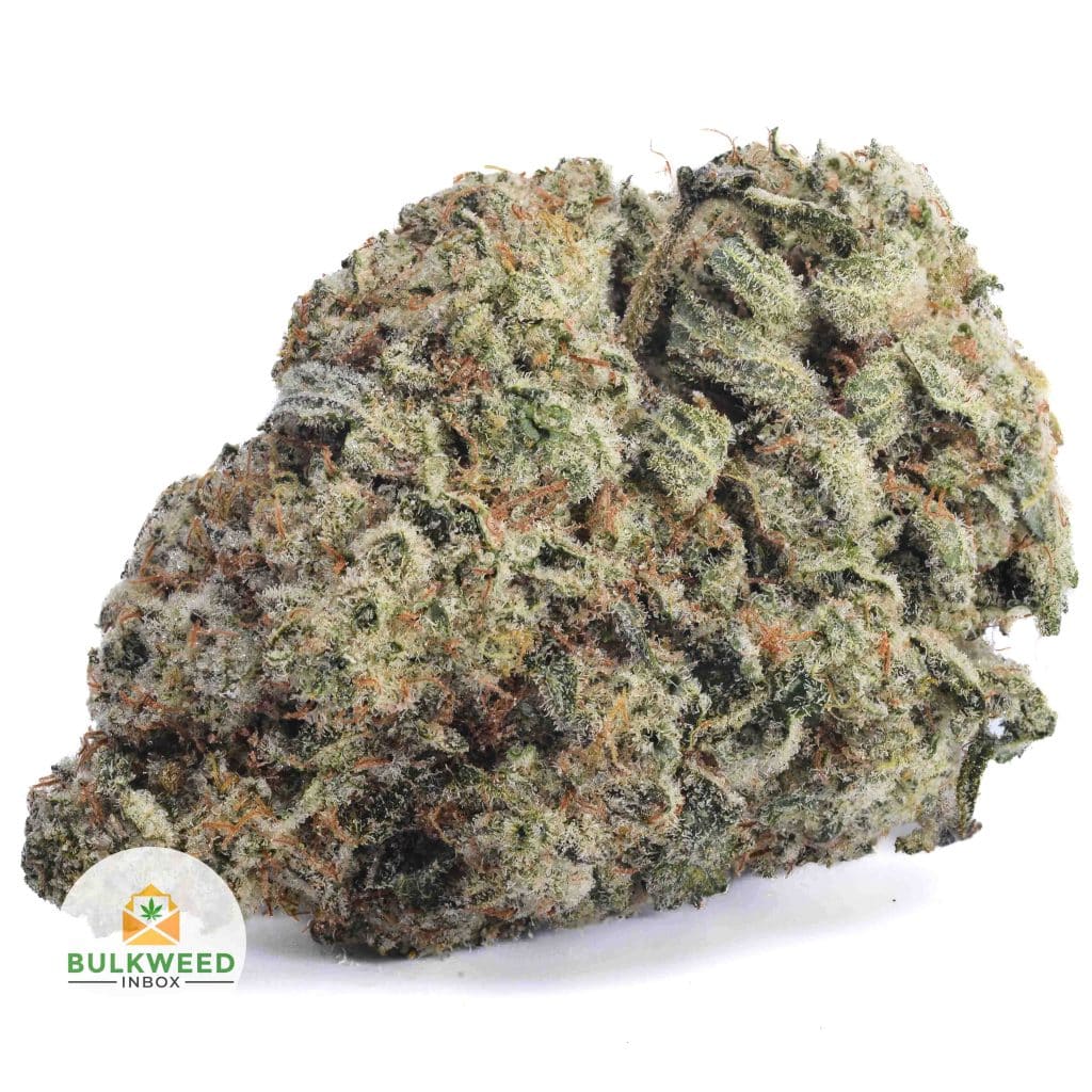 GARLIC-BREATH-BBAAA1-2