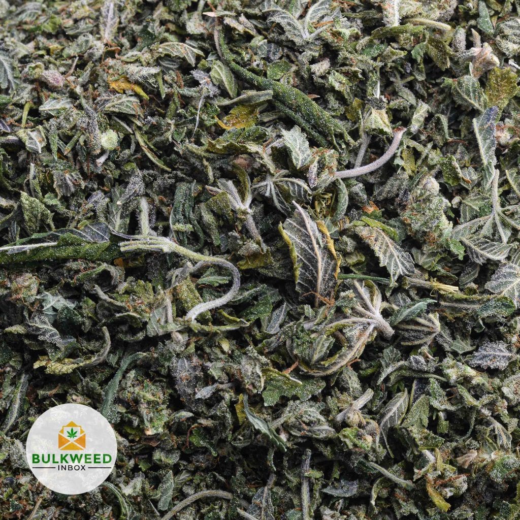 SUPER-SILVER-HAZE-CRAFT-SHAKE-WEED