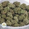 BLACK-RHINO-AAA