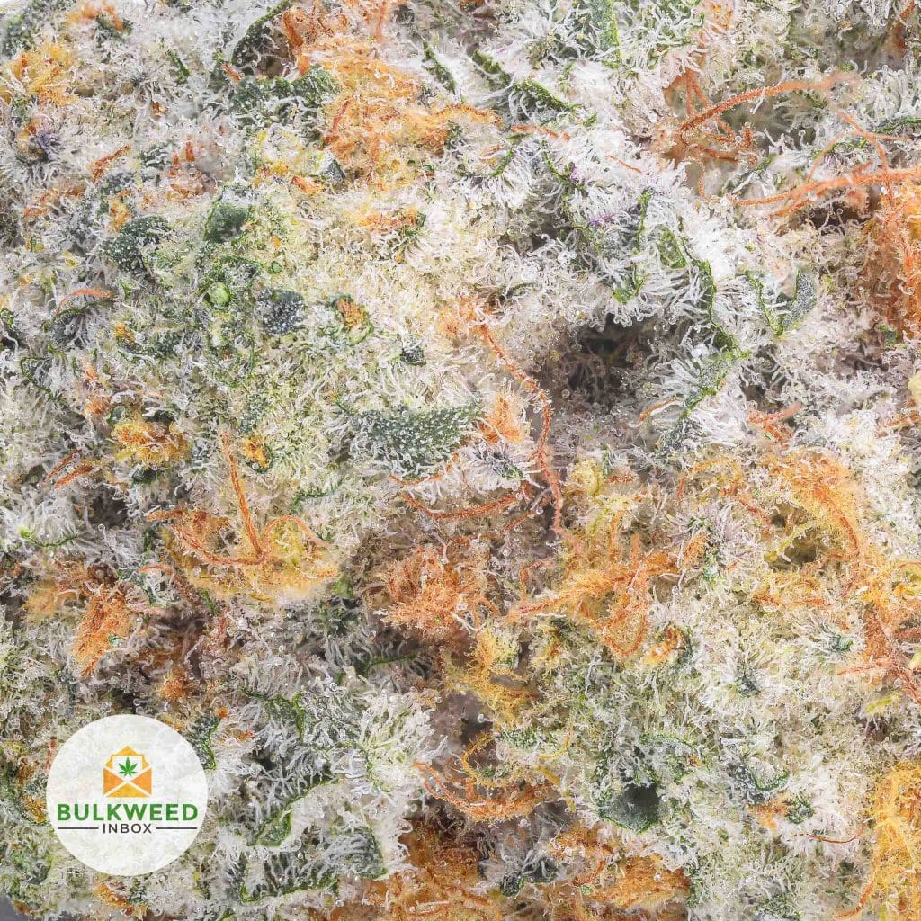 COOKIES-AND-CREAM-AAA2