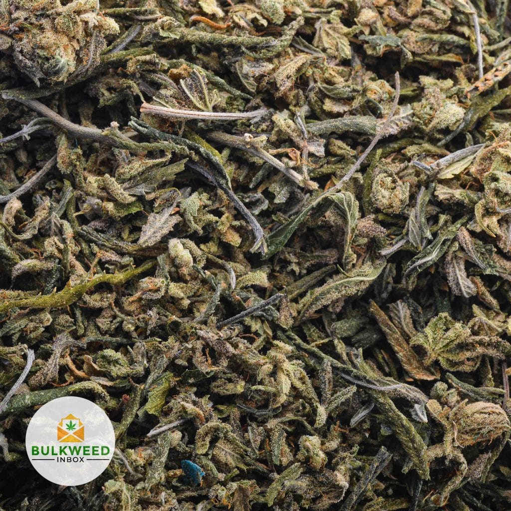 CRAFT-BLUEBERRY-SHAKE-WEED