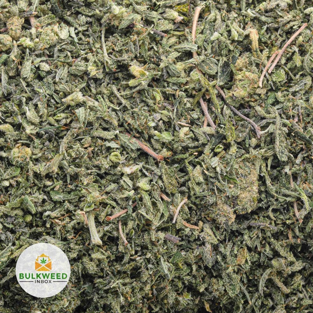 CRAFT-NORTHERN-LIGHTS-SHAKE-WEED