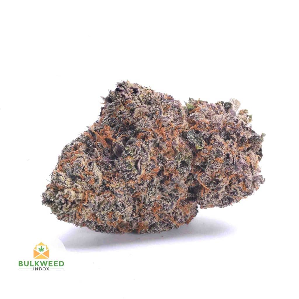 JACK-TRUFFLE-CONTAINS-SEEDS-BB1