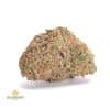 STRAWBERRY-ANMESIA-AA1