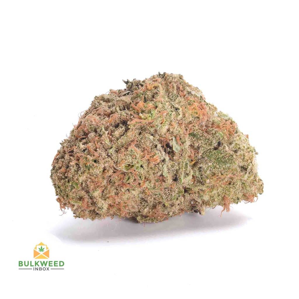 STRAWBERRY-ANMESIA-AA1