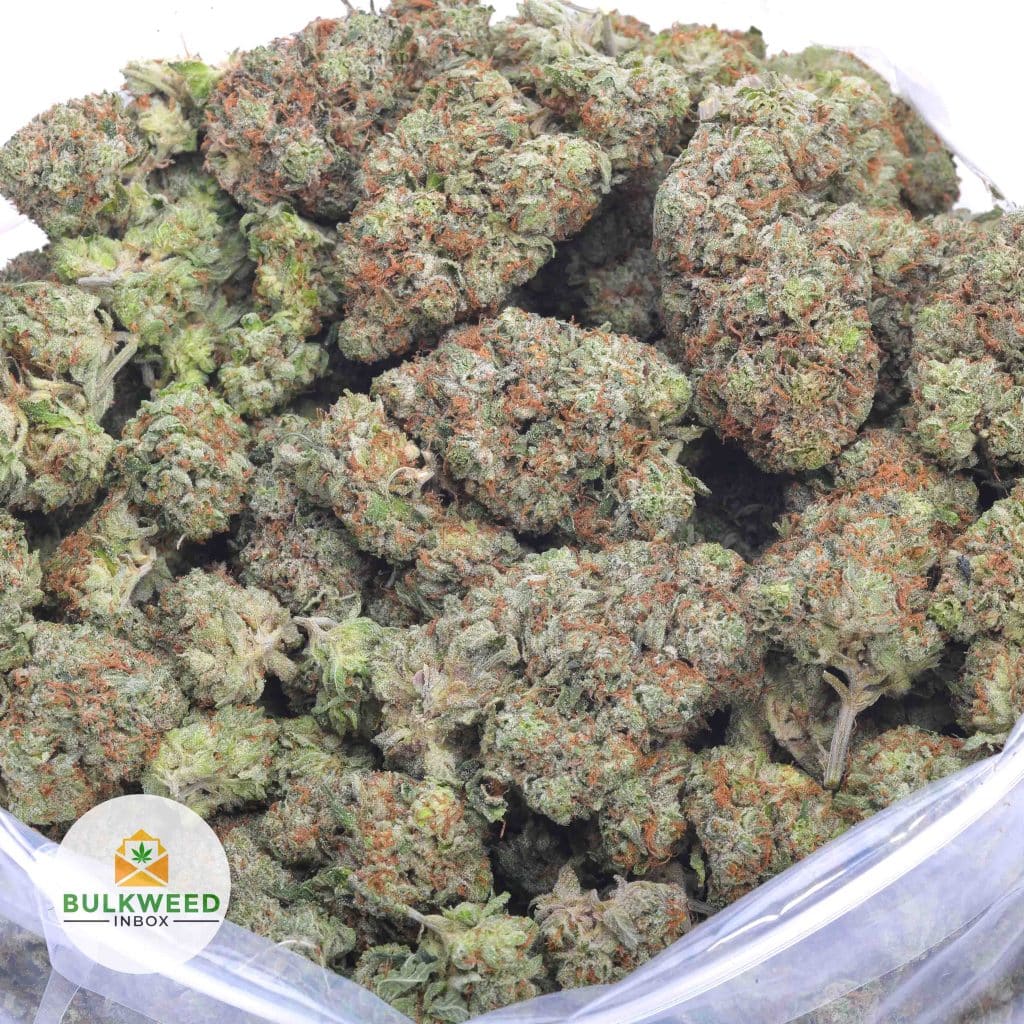 TOM-FORD-PINK-KUSH-TYSON-FARM-CRAFT-AAAA