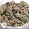 WHITE-BUFFALO-NELSON-FARM-CRAFT-AAAA