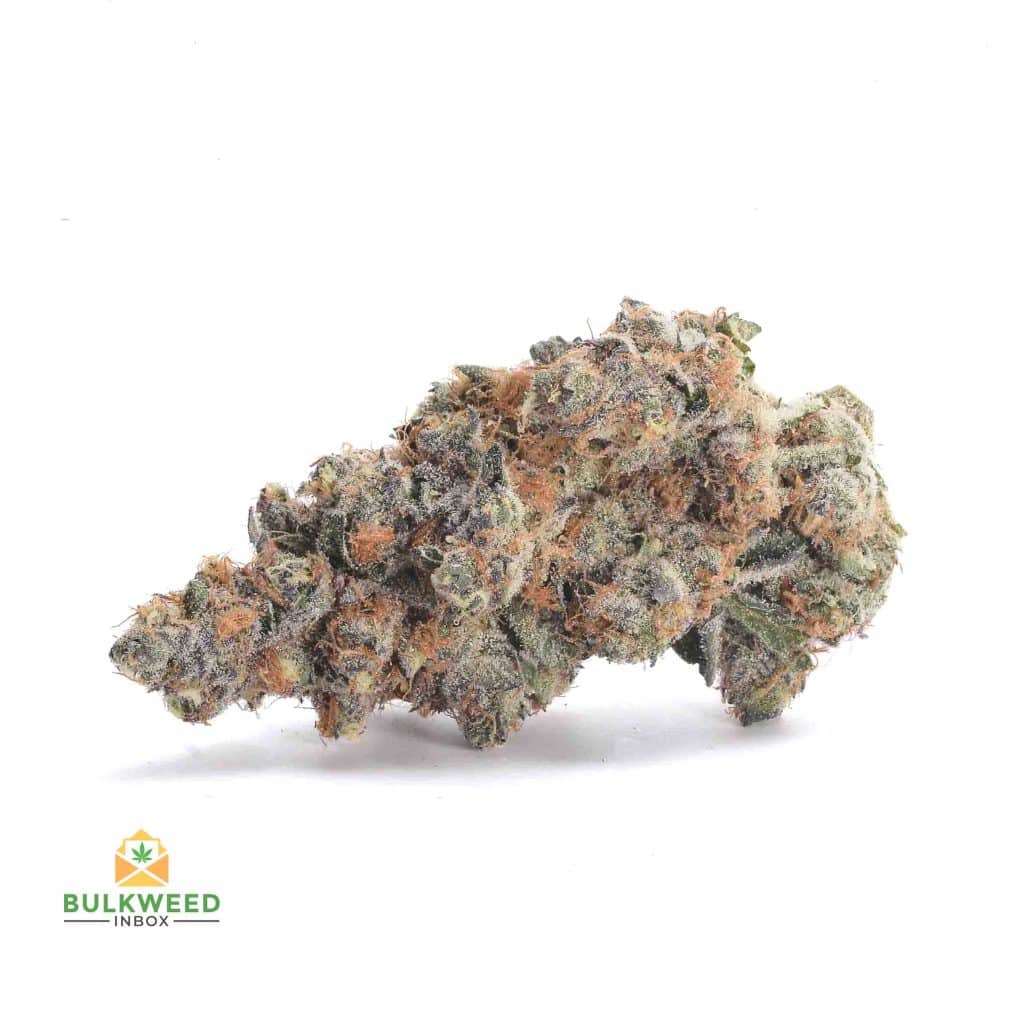 WHITE-BUFFALO-NELSON-FARM-CRAFT-AAAA1