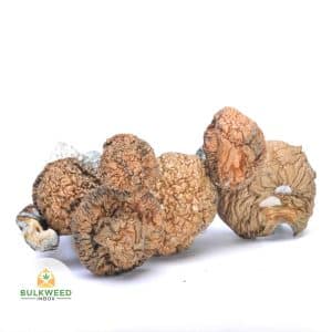 signal-2025-12-23-085055