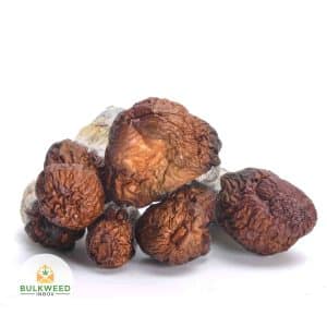 BLUE-PULASKI-MUSHROOMS-2