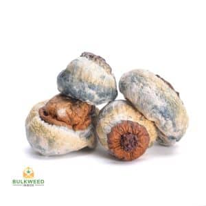 BLUEY-VUITTON-MUSHROOMS1-1