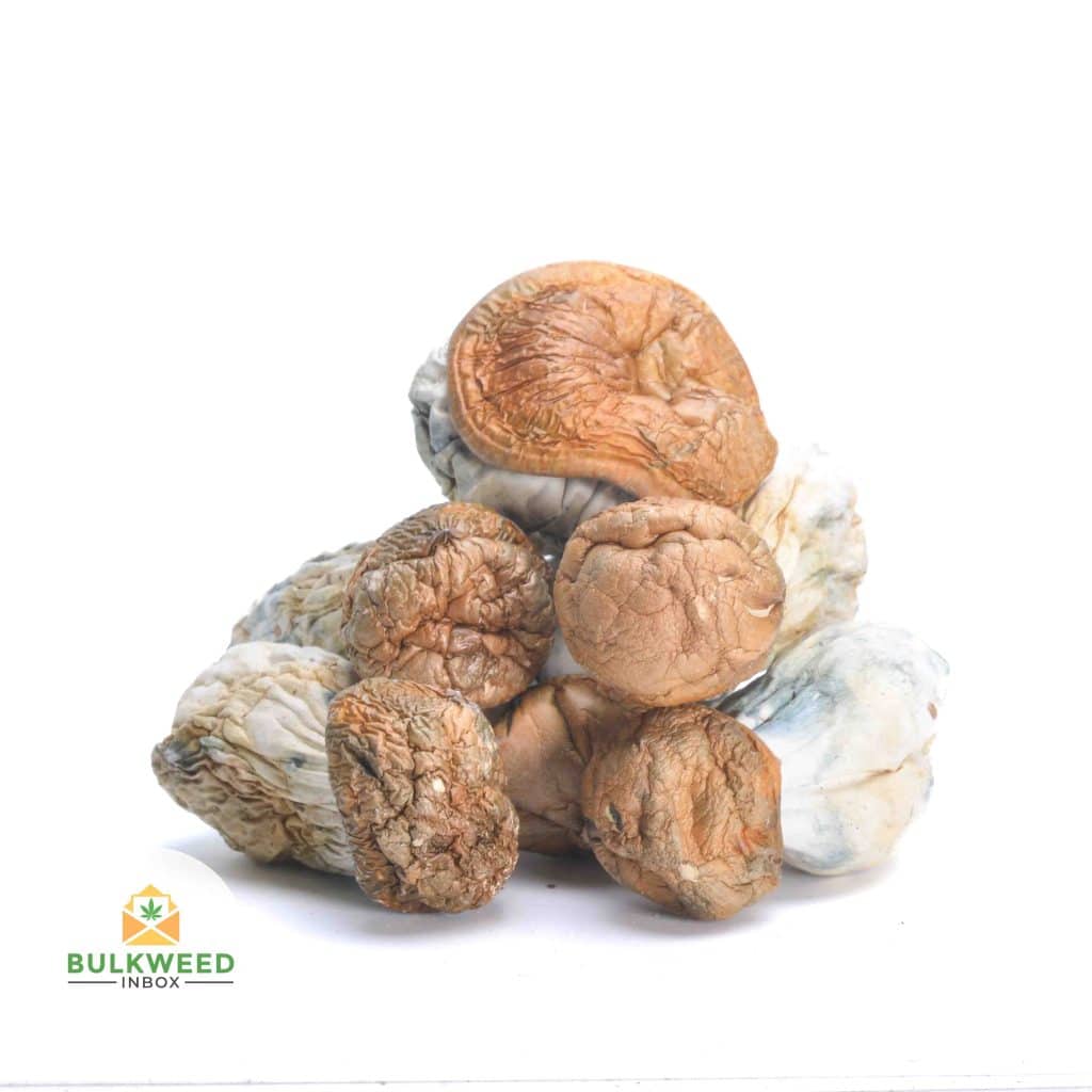 GOLD-MEMBER-MUSHROOMS