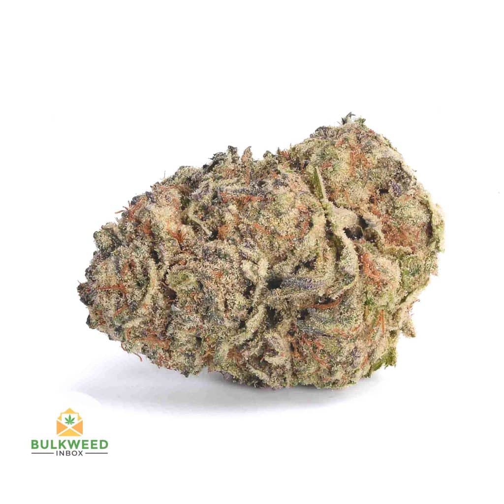 LUCY-IN-THE-SKY-AAA1