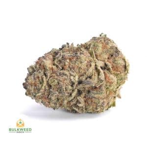 LUCY-IN-THE-SKY-AAA1