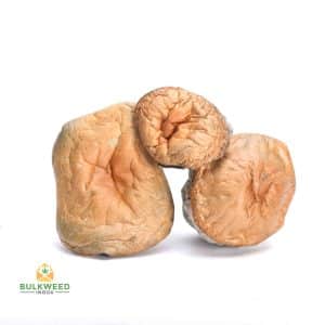 MAKILLA-GORILLA-MUSHROOMS