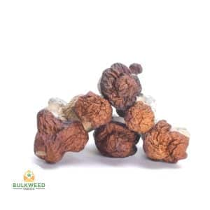 TEXAS-YELLOW-CAP-MUSHROOMS-2