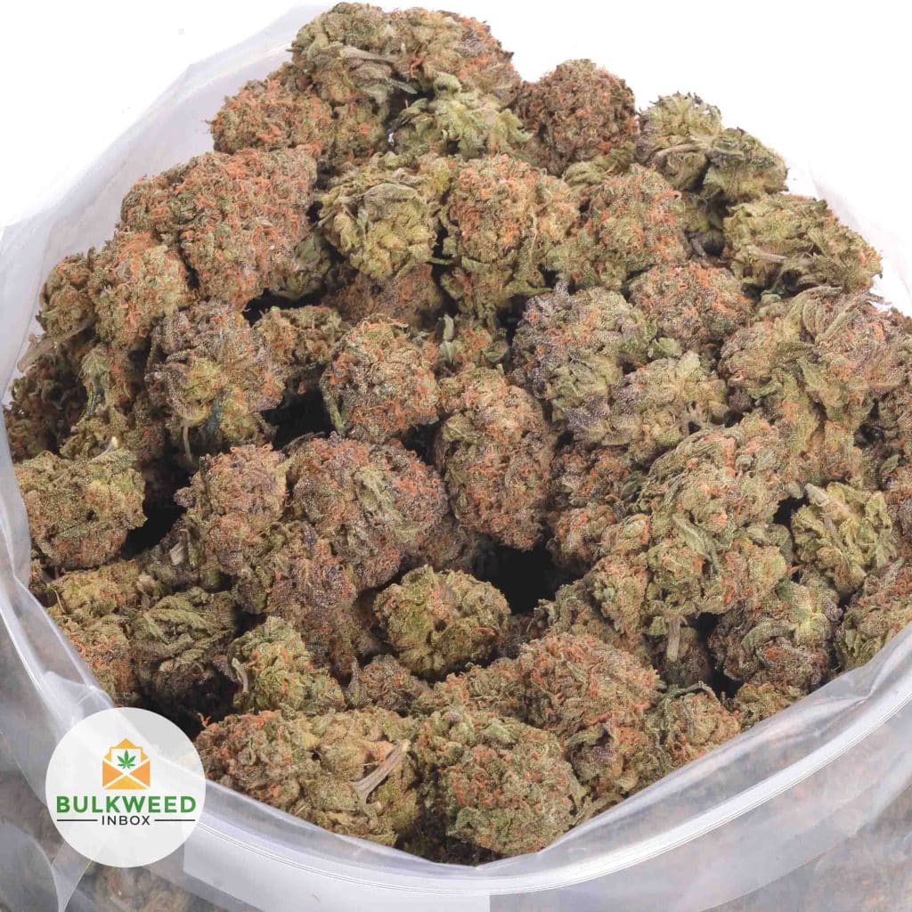 WEST-COAST-DIESEL-AAA