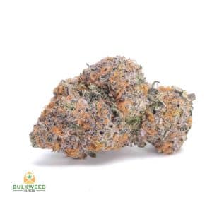 BLUE-LOBSTER-NELSON-FARM-CRAFT-AAAA1