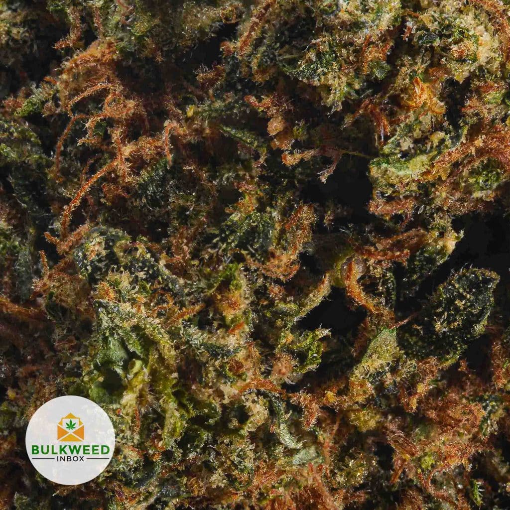 DEATH-COOKIES-POPCORN-AAA2